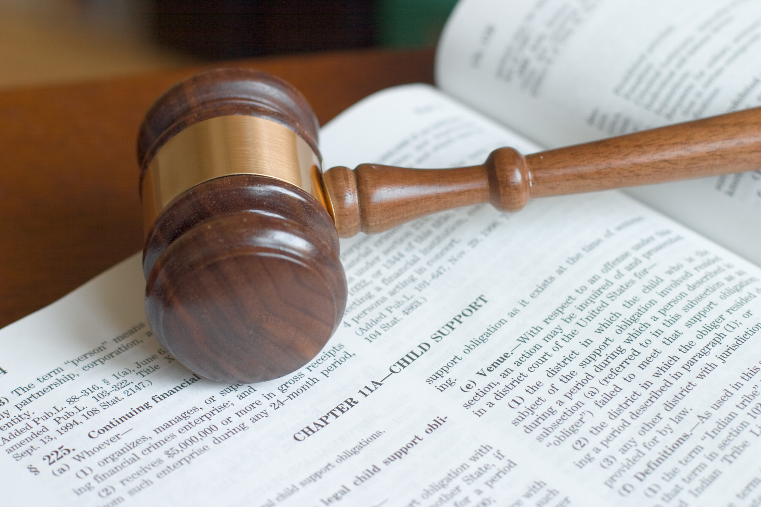 Which Factors Determine Child Support Payments in Florida?